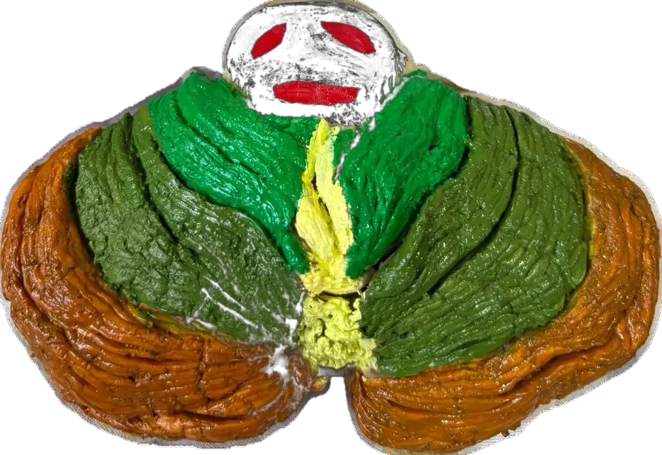 Superior surface of cerebellum